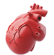 cardiac