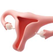 gynecology